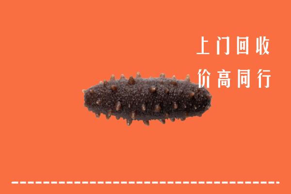 高价求购：白银市平川回收海参
